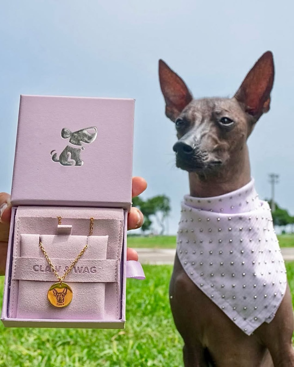 Mascota con su joya CLAW & WAG